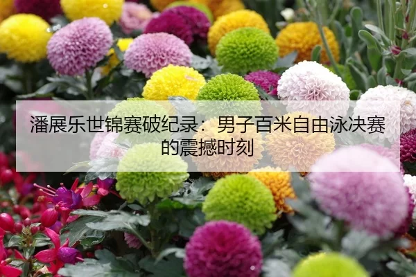潘展乐世锦赛破纪录：男子百米自由泳决赛的震撼时刻