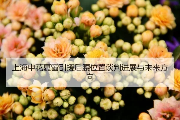 上海申花夏窗引援后腰位置谈判进展与未来方向