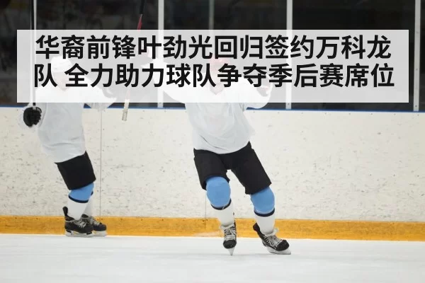 华裔前锋叶劲光回归签约万科龙队 全力助力球队争夺季后赛席位