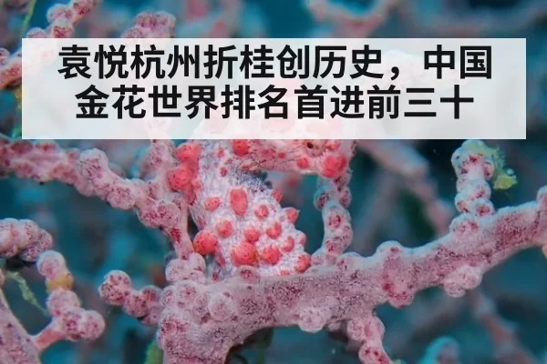 袁悦杭州折桂创历史，中国金花世界排名首进前三十