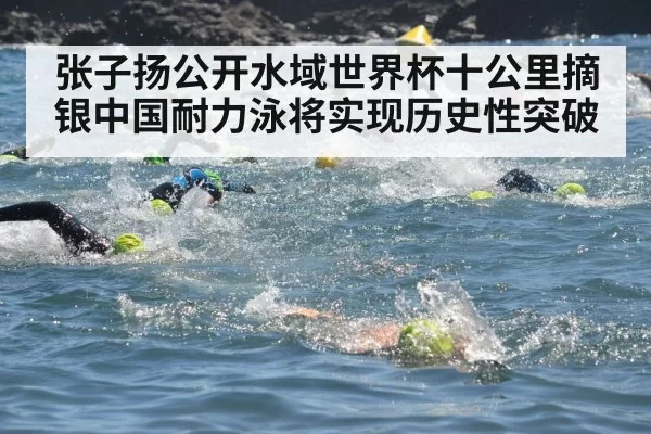 张子扬公开水域世界杯十公里摘银中国耐力泳将实现历史性突破